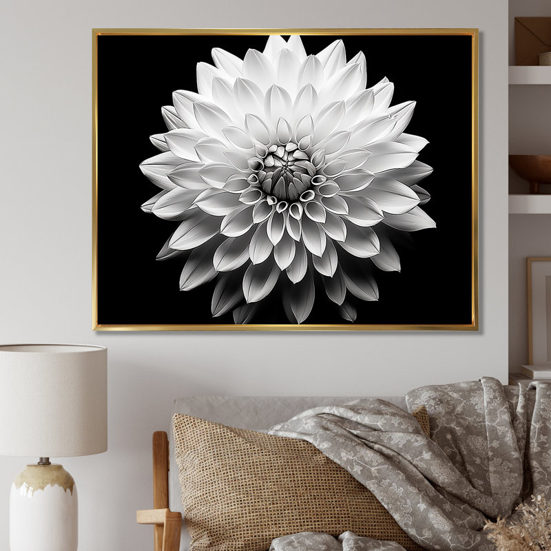 Dahlia en noir et blanc - impressions encadrées, Cadre flottant doré, L 32 po x H 24 po x P 1 po