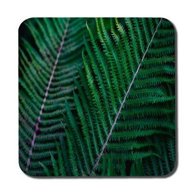 Dsean Square 6 Piece Coaster Set