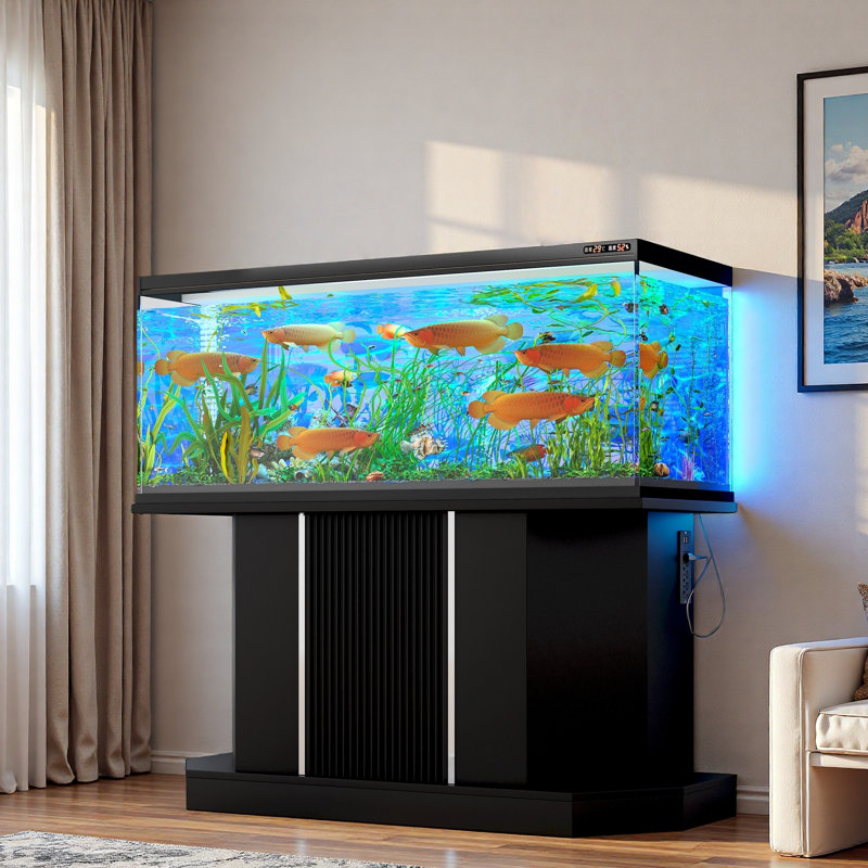 Support pour aquarium moderne avec prise de courant et armoire de rangement