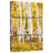 Alvord Aspen Tree Forest
