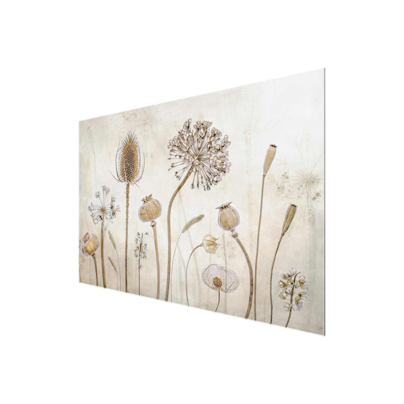Growing Old - No Frame Print on Glass, Paper, 76cm H x 51cm W x 0.5cm D