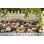 Mixed Landscaping Rocks
