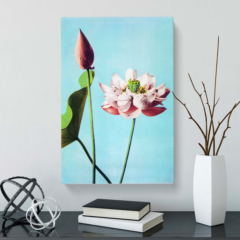 Pink Lotus Flowers by Ogawa Kazumasa - Wrapped Canvas, 76cm H x 50cm W x 3cm D