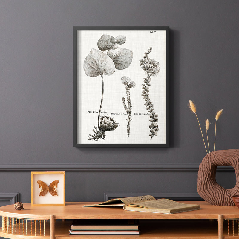 Protea II, reproduction encadrée - bois massif, Noir, H 28 po x l 22 po