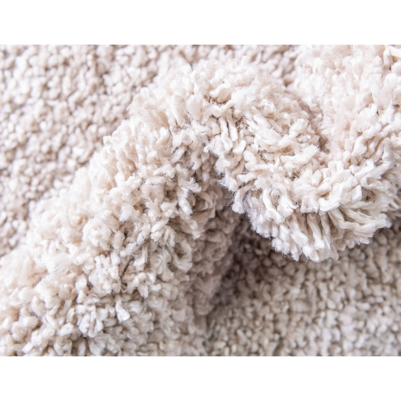 Carlosadrian Oriental Indoor Rug, Rectangle 4' x 6'