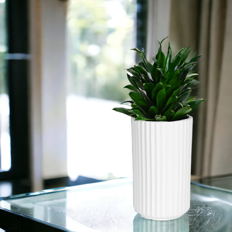 Vase de table en céramique Goeselt