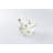 Sugar And Creamer Set with Lid