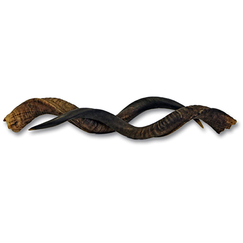 Pair of Natural African Kudu Horns