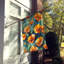 Drapeau de maison de fleurs Liatris-113109881
