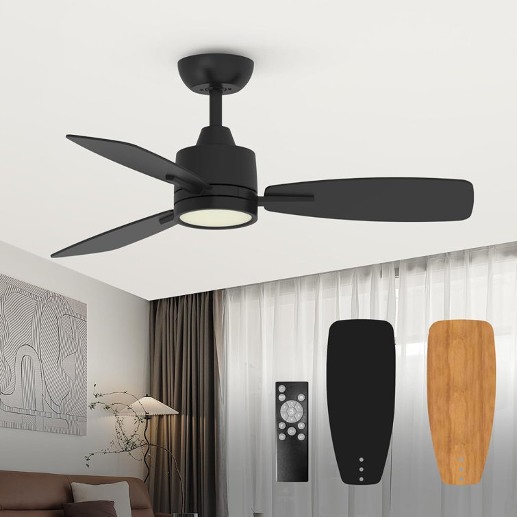 Emidia Standard Ceiling Fan with LED Lights Indoor