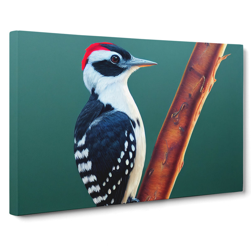 Select Woodpecker Bird - Wrapped Canvas, 50cm H x 76cm W x 3cm D
