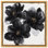 «Enigma Black and Gold III», art floral élégant par Art Remedy