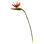 Bird Of Paradise Arrangement