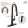 Spring Neck Standard Kitchen Faucet with Dual-Function spray head and Deck Plate