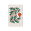 «Christmas Greenery II», reproduction sur toile-105960799-105960806