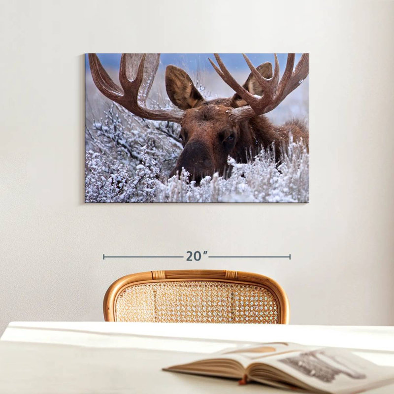 Brampt Hiding Moose, 16" H x 24" W