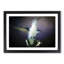 Hummingbird Bird in Flight in Abstract - Picture Frame Painting Print-55763876-55763873