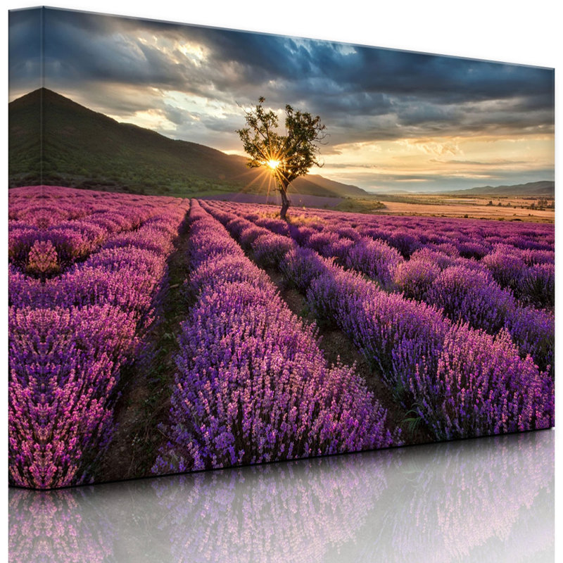 Fantastic Lavender Provence With Lonely Tree by No - Wrapped Canvas Print, With lighting, 40cm H x 60cm W x 4.5cm D