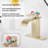 Single-Hole Single-handle Bathroom Faucet with Drain Assembly-81641105