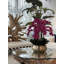 Orchid Faux Floral Arrangement in Vase-1602634666