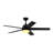 Purab 52'' Ceiling Fan with LED Lights-602551314
