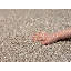 Pallvi Solid Colour Machine -made Area Rug-1556089994-1556089996