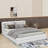 Queen Size Upholstered Platform Bed-1399466868