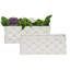 Berry & Thread Petite Parterre Garden 8" Planter-1098380287