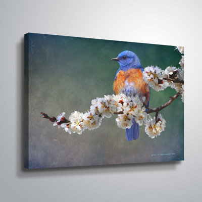 " Apple Blossoms Bluebird "