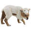 Statue de jardin loup en mouton