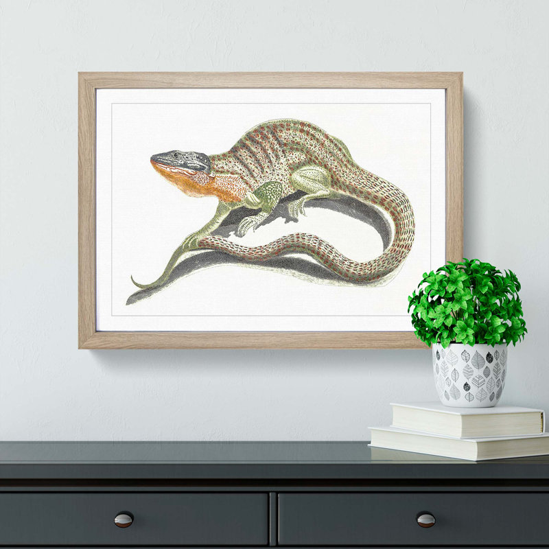 Lizard by Johan Teyler - Picture Frame Painting Print, 27cm H x 36cm W x 2cm D, Oak Framed