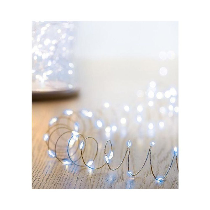 1000cm LED Twinkle Indoor / Outdoor String Lights, White