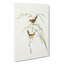 Exile Warbler by Elizabeth Gould - Wrapped Canvas Painting-55370829
