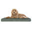 Coussin orthopédique Snuggle NAP Deluxe-1577706406-1577706407