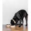 Bol pour chien en acier inoxydable, paquet simple