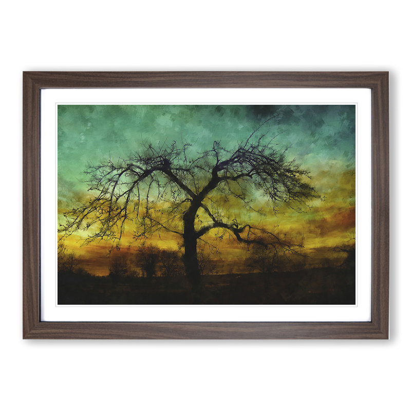 Tree at Sunset Vol.4 - Picture Frame Graphic Art, 27cm H x 36cm W x 2cm D, Walnut