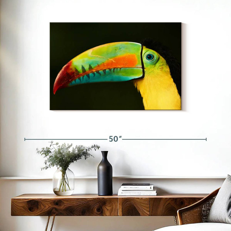 Bec long Brampt Toucan, H 24 po x l 36 po