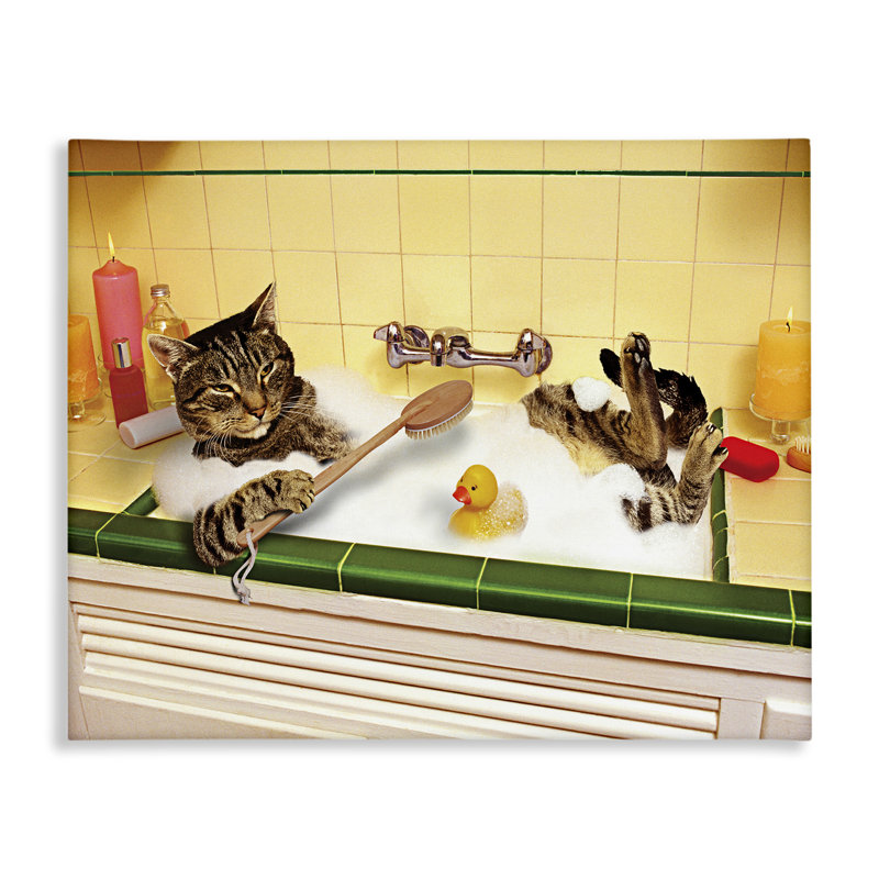 «Cat Bathing in Tub Tub», art mural par Lund Roeser, H 16 po x l 20 po