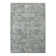 Sapphire Oriental Area Rug in Gray