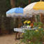 Parasol Lazerick 70,9 avec contrepoids inclus-1582730027