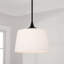 Luminaire suspendu simple 1 lumière Empire-43232529