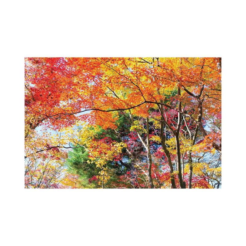Autumn Foliage In Kyoto, Japan by Jan Becke - Wrapped Canvas Print, 20.32 cm H x 30.48 cm W