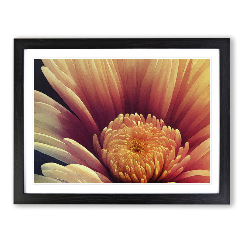 Dramatic Flower - Single Picture Frame Print, Black Framed, 46cm H x 64cm W x 2cm D