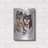 " Collie " by Barbara Keith-597782183