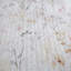 Ensemble de courtepointe à motif floral Apricot Meadow-130700703