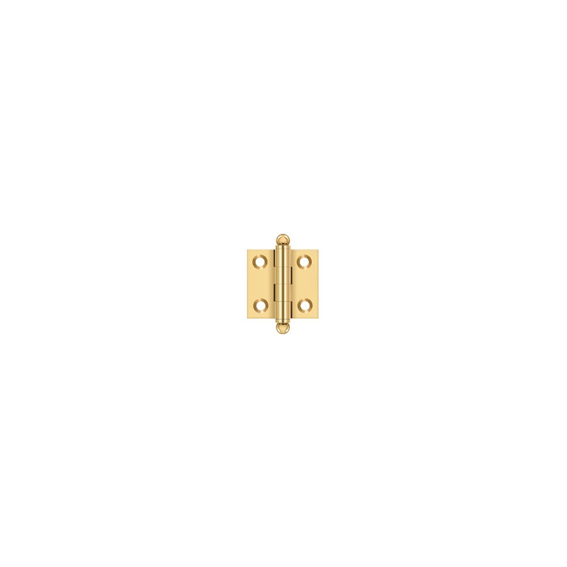 Hinge, PVD Polished Brass