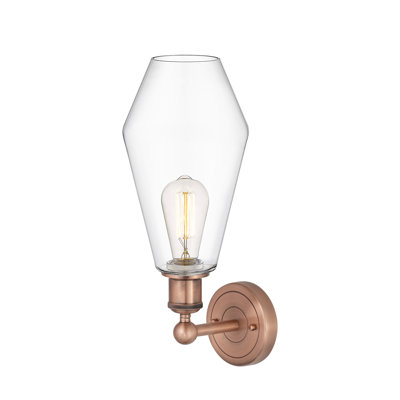 Amylea Steel Armed Sconce