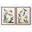 Oiseaux antiques dans la nature, impression encadrée de qualité supérieure - prête à être accrochée - aucun clou requis - aucun clou requis-1103485829-1103485836