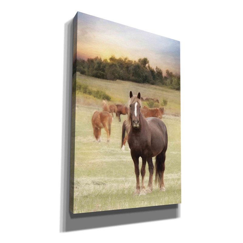 «Jackson Horse Farm» par Lori Deiter, art mural sur toile, H 18 po x l 12 po x P 0,75 po