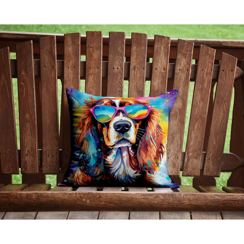 Other/No Pattern Outdoor Throw Pillow